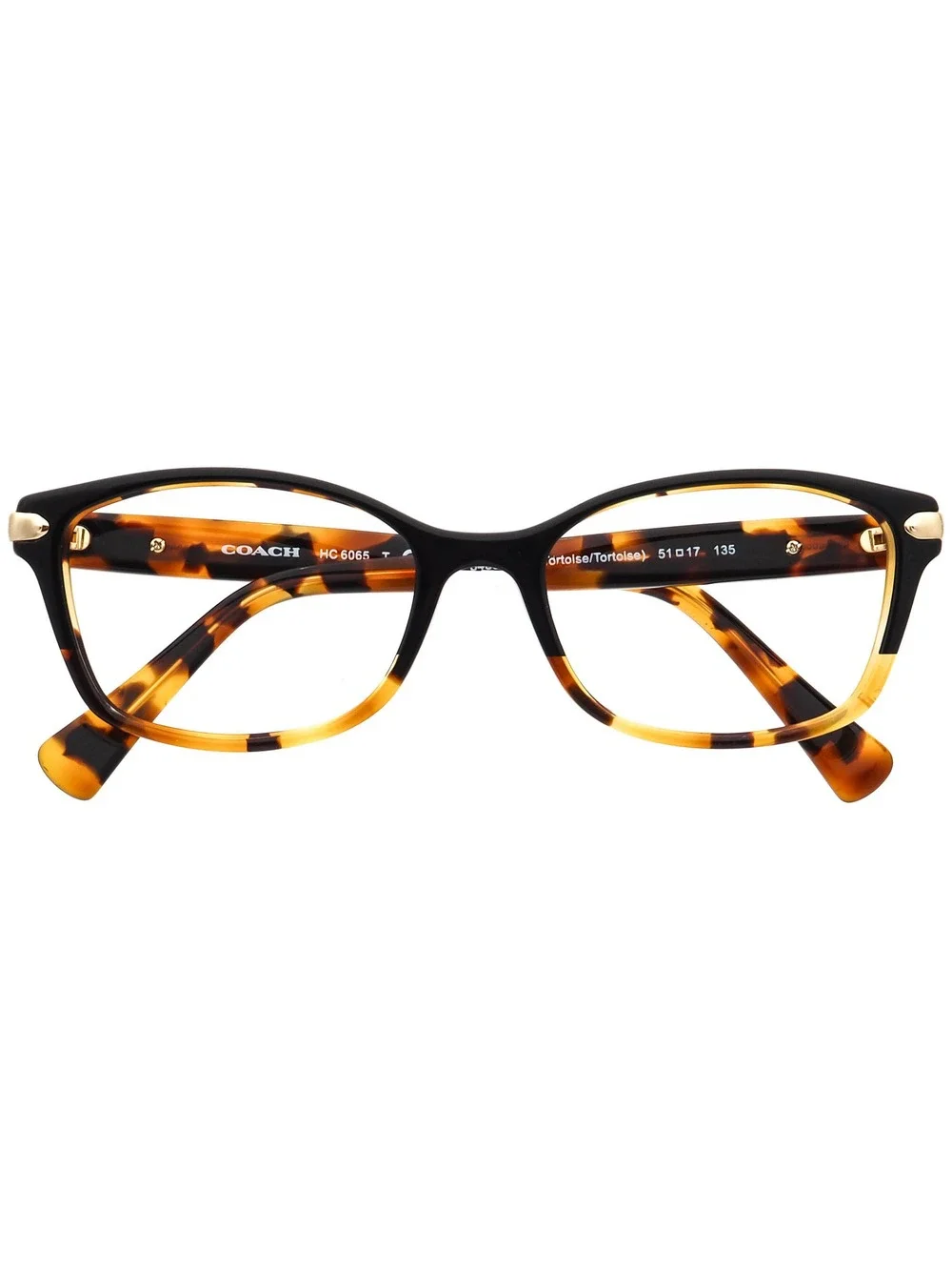 Coach HC 6065 5438 Eyewear